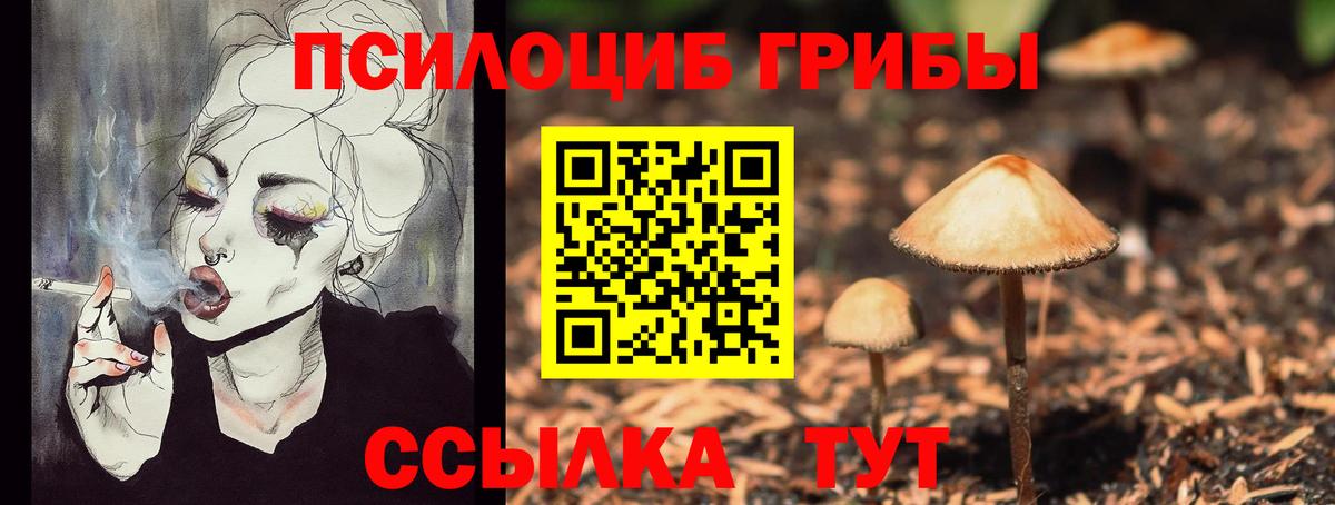 Псилоцибиновые грибы ЛСД  Галлюциногенные грибы прущие грибы  Кимры  Вход с VPN 
